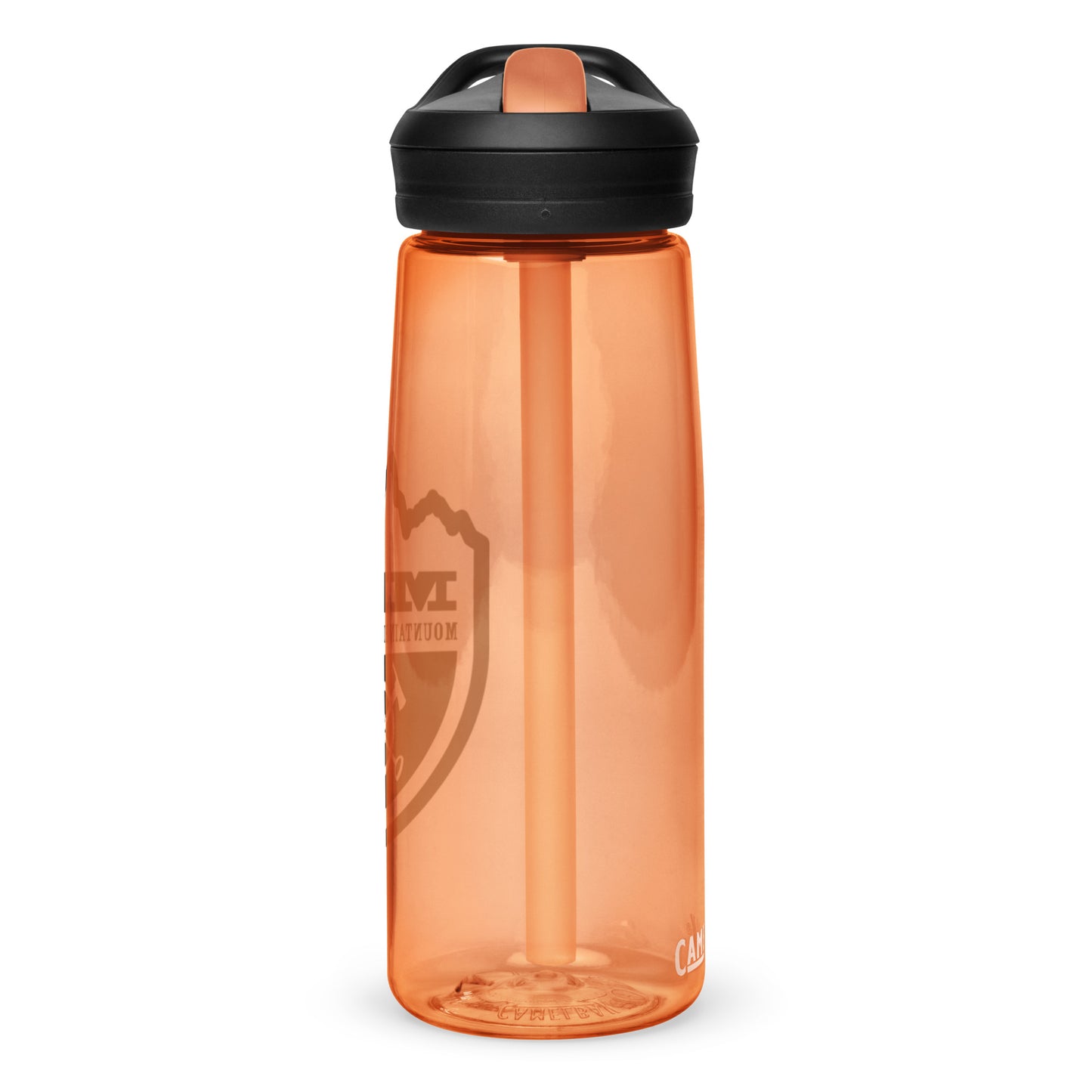 Sports water bottle